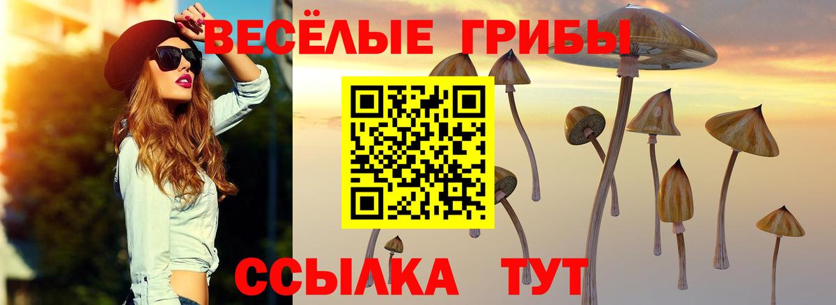 Галлюциногенные грибы Magic Shrooms  Вход с VPN  Рославль 
