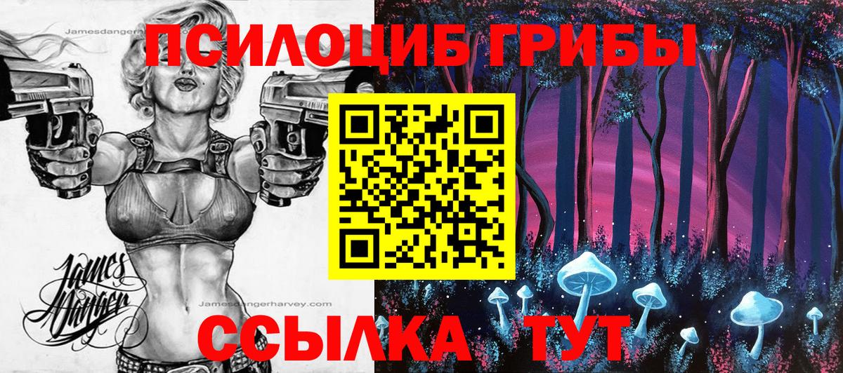 Псилоцибиновые грибы Cubensis Рославль